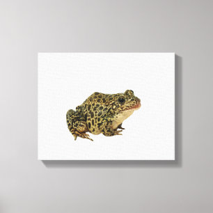 Frog shadow canvas print