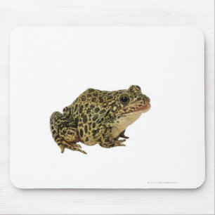 Frog shadow mouse pad
