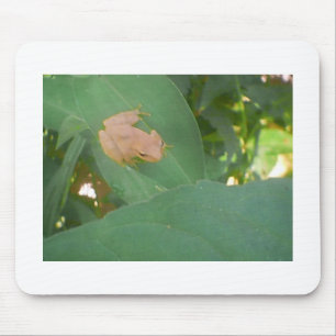Frog Sitting on Green Leaf Mouse Pad