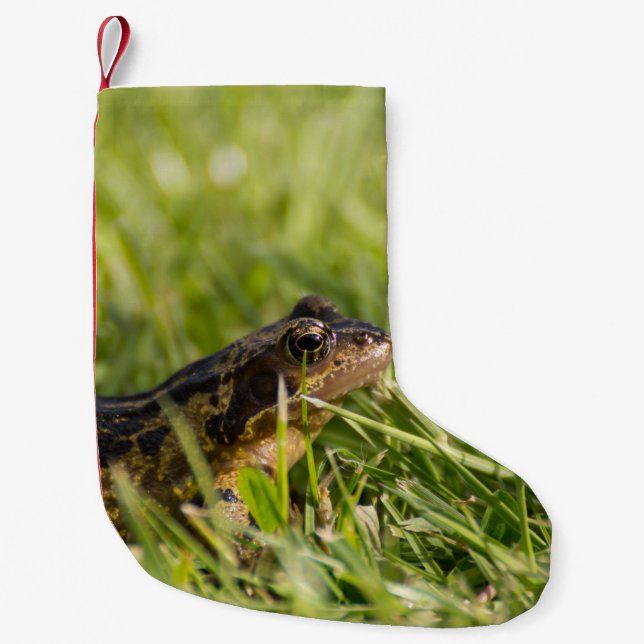 Frog Small Christmas Stocking (Front)