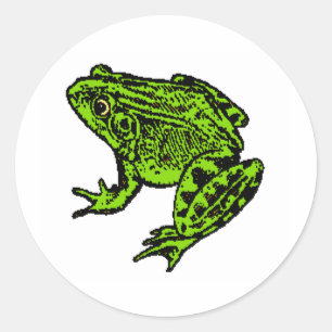 Frog Sticker