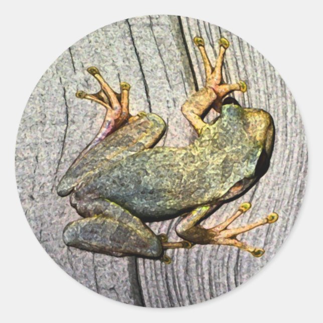 Frog Sticker (Front)