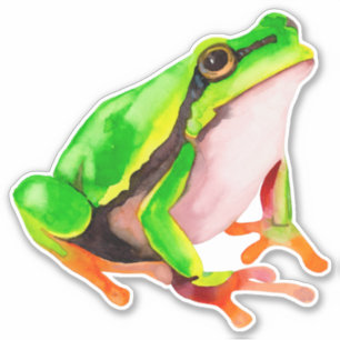 Frog Sticker