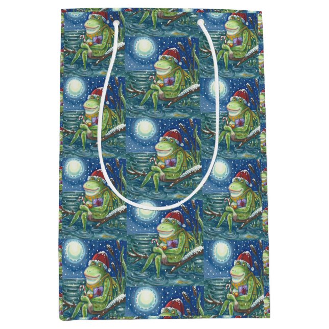 FROG SUR JOURNAL PÈRE NOËL, SAC CADEAU MOYEN DE NO (Devant)