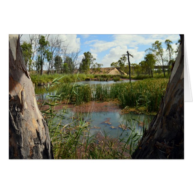 Frog Swamp Paradise, (Front Horizontal)