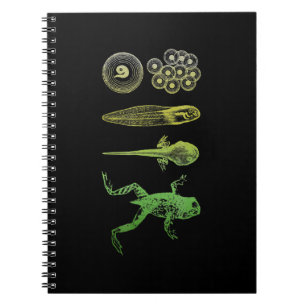 Frog Tadpole Metamorphosis Life Cycle Biology Notebook