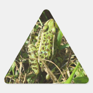 Frog Triangle Sticker