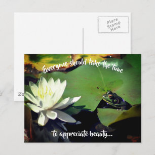 Frog Water Lily Beauty Inspirational Postcard