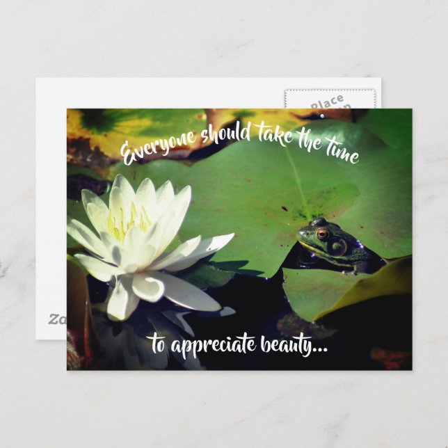 Frog Water Lily Beauty Inspirational Postcard (Front/Back)