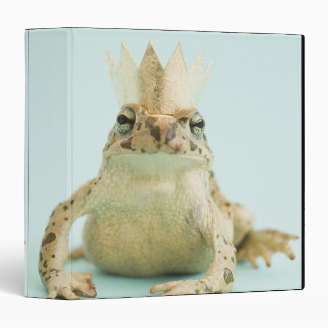 Frog wearing crown binder (Front/Spine)