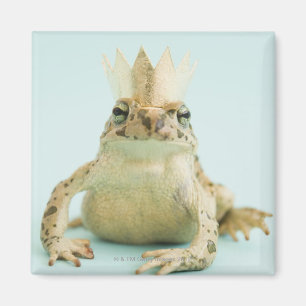 Frog wearing crown magnet