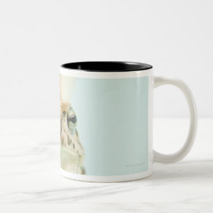 Frog wearing crown Two-Tone coffee mug
