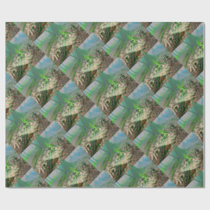 Frog Wrapping Paper
