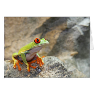 Froggy