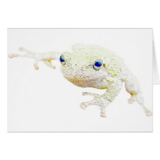Froggy du nord