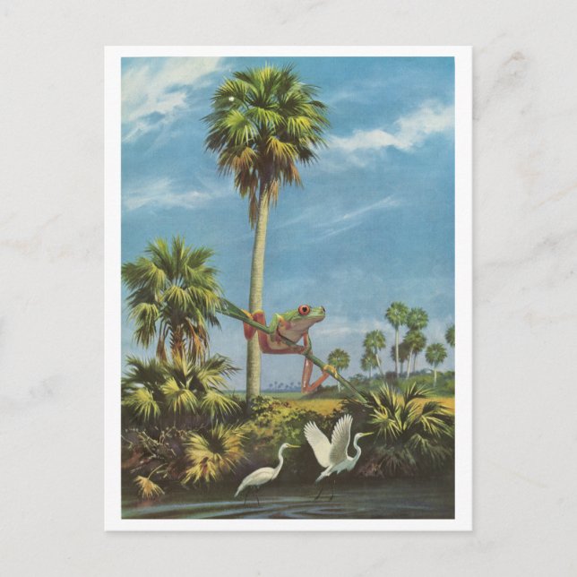 Froggy lookout - invitation postcard (Front)