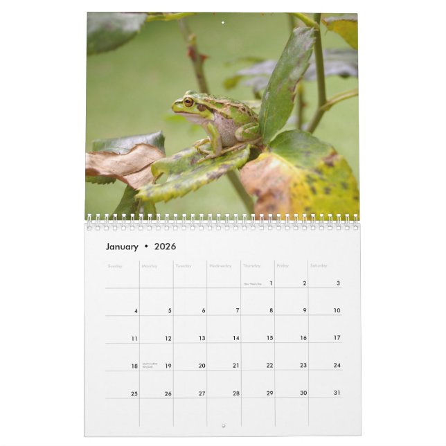 Frogs 2009 calendar (Jan 2026)