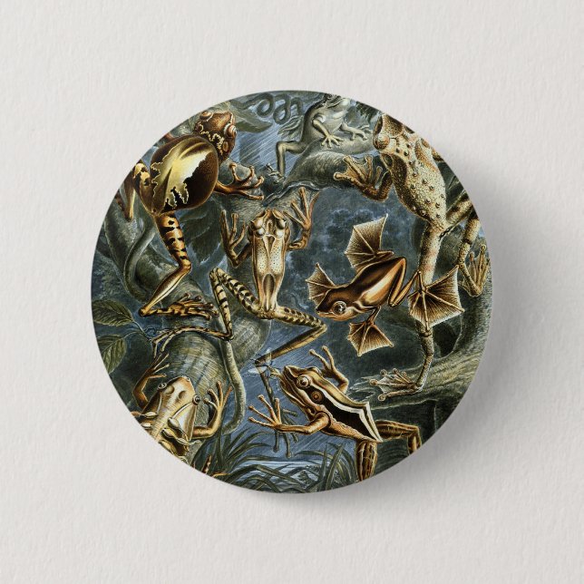 Frogs 2 Inch Round Button (Front)