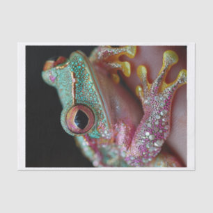 Frogs and Diamonds10 Tissue Paper