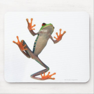 Frogs belly mouse pad