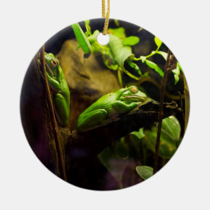Frogs in a Tree Ceramic Ornament