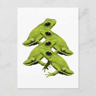 FROGS IN FOUR POSTCARD