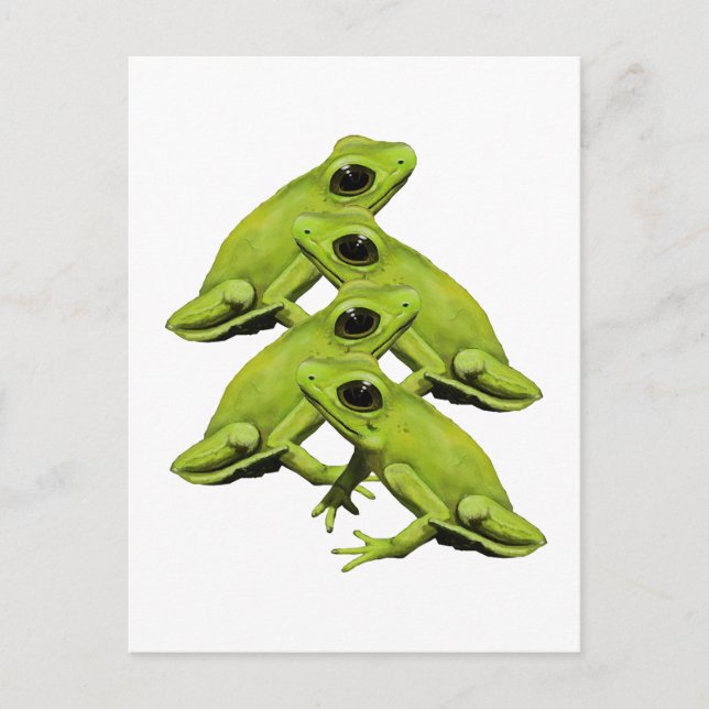 FROGS IN FOUR POSTCARD (Front)