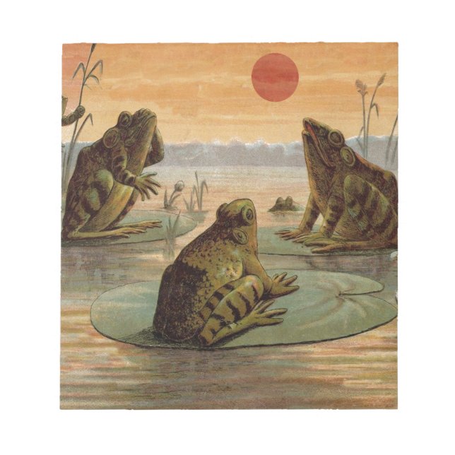 Frogs Lily Pads Moon Illustration (Front)