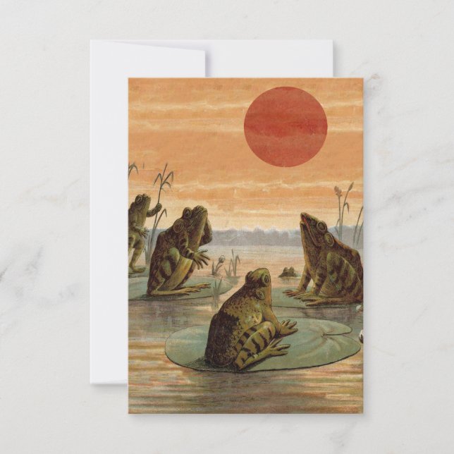 Frogs Lily Pads Moon Illustration (Front)