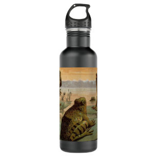 Frogs Lily Pads Moon Illustration 710 Ml Water Bottle