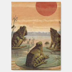 Frogs Lily Pads Moon Illustration Magnet