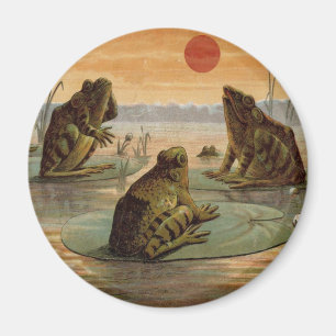 Frogs Lily Pads Moon Illustration Magnet