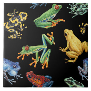 Frogs on black tile