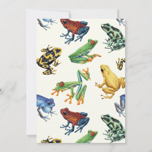 Frogs on natural white