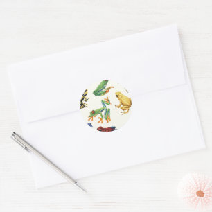 Frogs on natural white classic round sticker