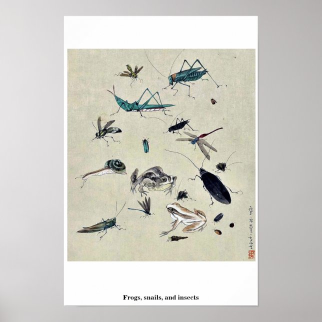 Frogs, snails, and insects poster (Front)