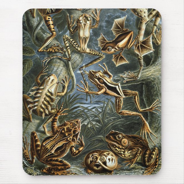 Frogs & Toads Mouse Pad (Front)