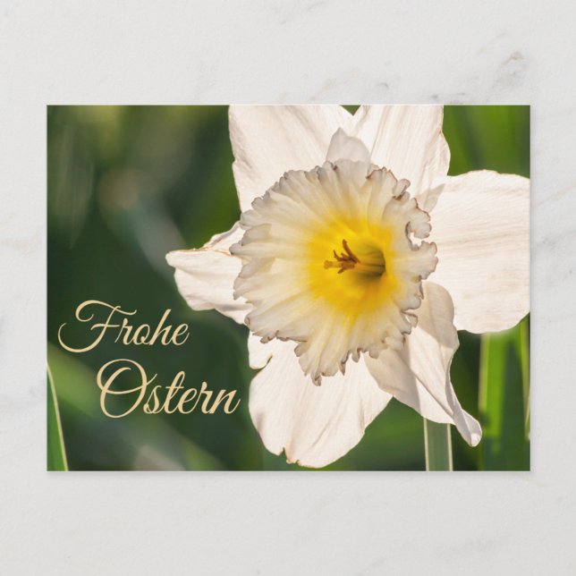 Frohe Ostern mit Blumengruß Postcard (Front)
