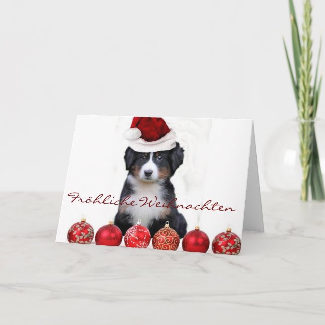 Fröhliche Weihnachten Bernese Carte de chien de mo (Devant)