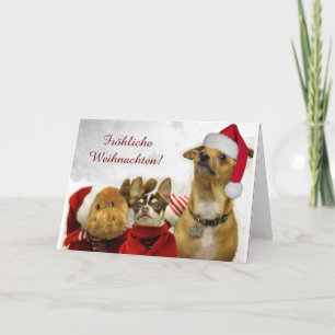 Fröhliche Weihnachten Chihuahuas greeting card