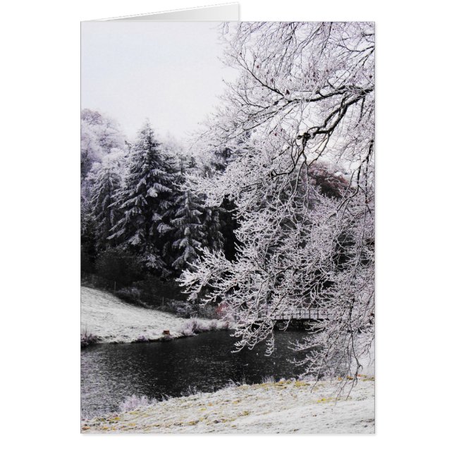 Froid matin (Devant)