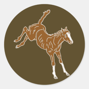 Frolicking Horse Foal - transparent uni-color. Classic Round Sticker