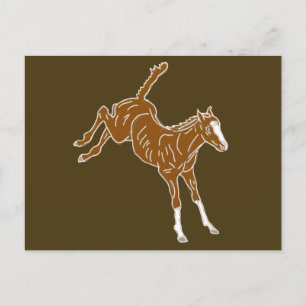 Frolicking Horse Foal - transparent uni-color. Postcard