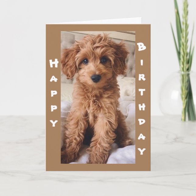 *FROM 1 DOG LOVER TO ANOTHER HAPPY BIRTHDAY* CARD (Front)