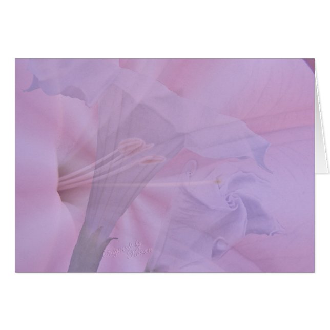 From Bud to Blossom (Front Horizontal)