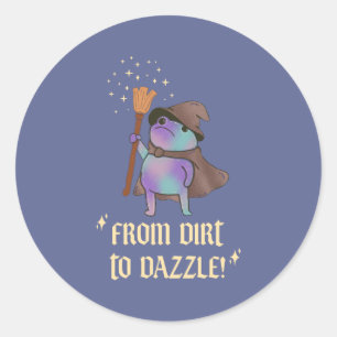 From Dirt to Dazzle Funny Wizard Frog Witch Hat  Classic Round Sticker