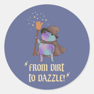 From Dirt to Dazzle Funny Wizard Frog Witch Hat  Classic Round Sticker