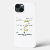 From Gene To Protein Molecular Biology