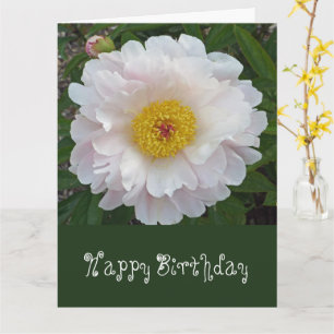 From Group Xtra Large Birthday card/floral Card