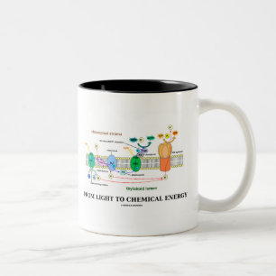From Light To Chemical Energy (Photosynthesis) Two-Tone Coffee Mug